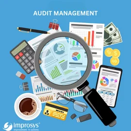 audit management software